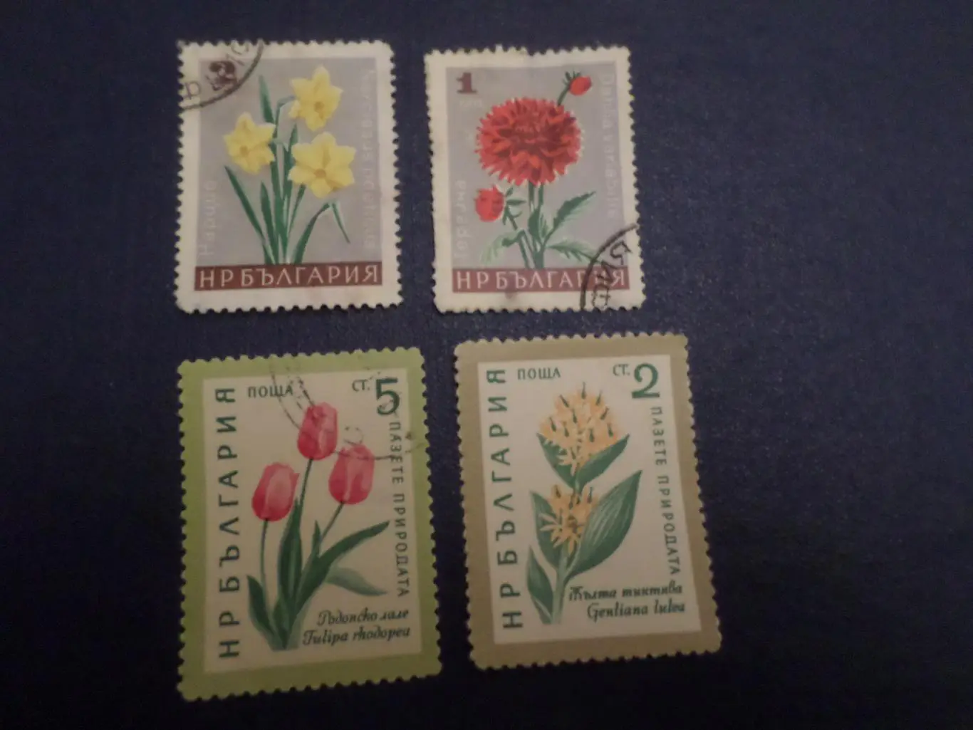 Марки Болгария флора Цветы гаш