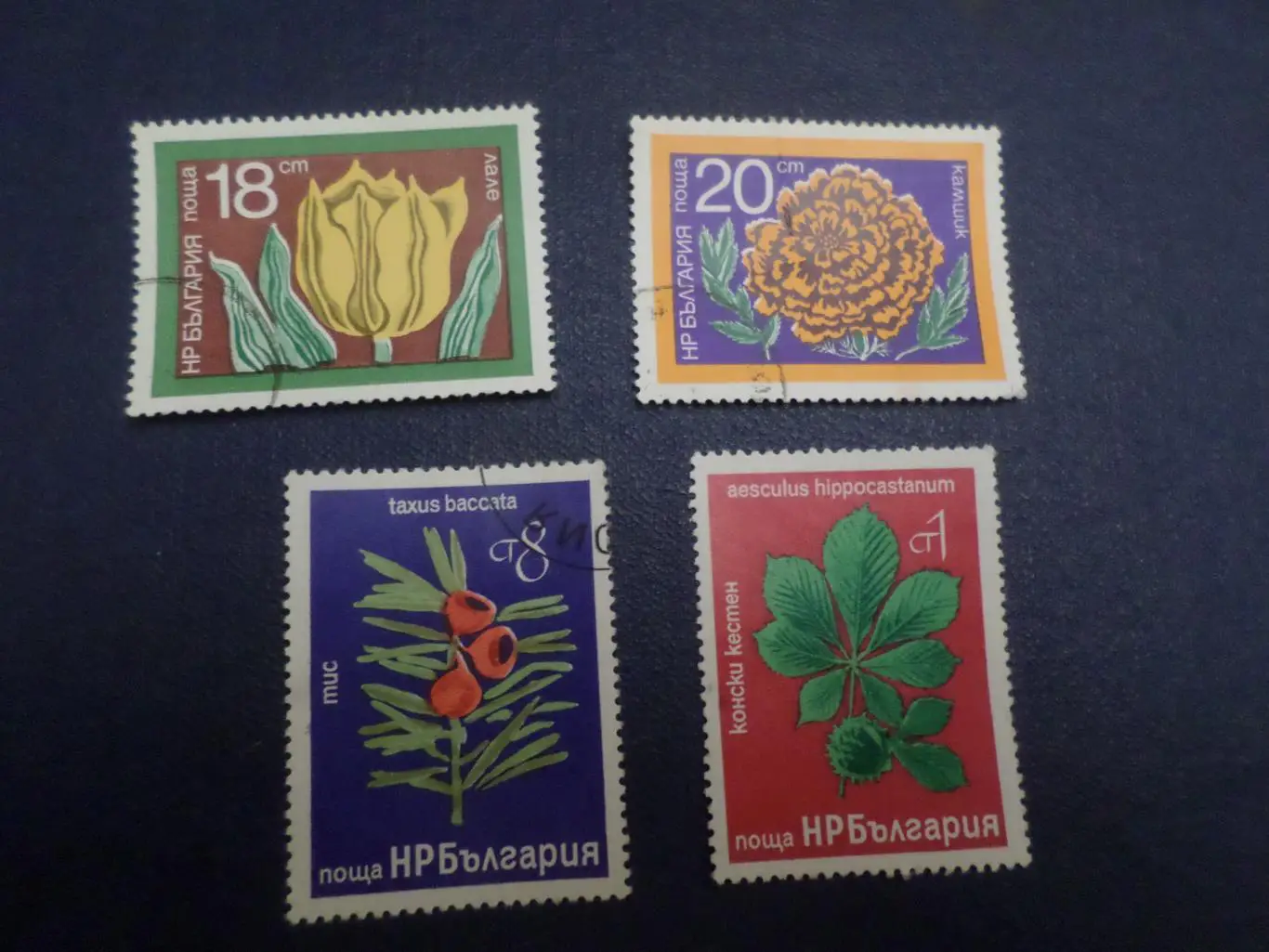Марки Болгария флора Цветы гашеные