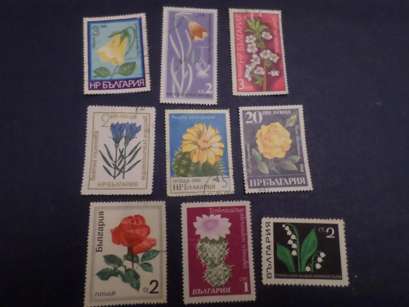 Марки Болгария флора Цветы гашеные.