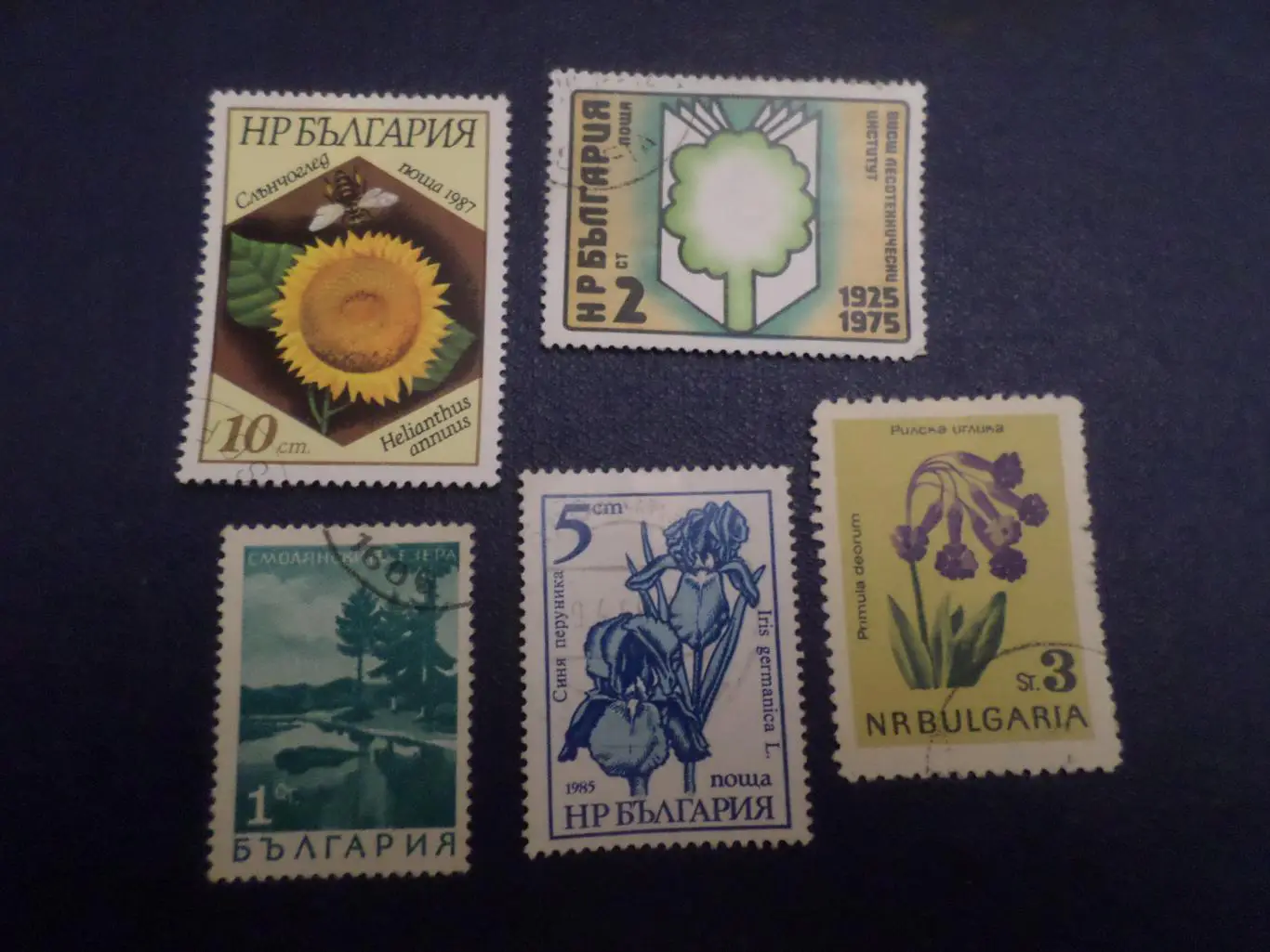 Марки Болгария флора Растения гашеные.