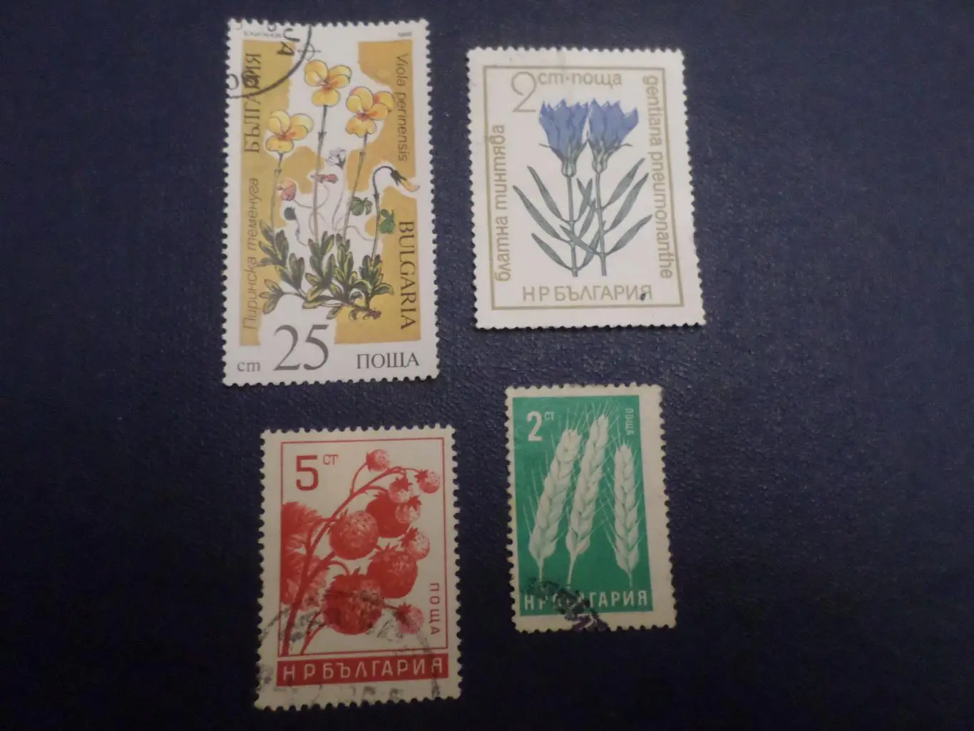 Марки Болгария флора Растения гашеные