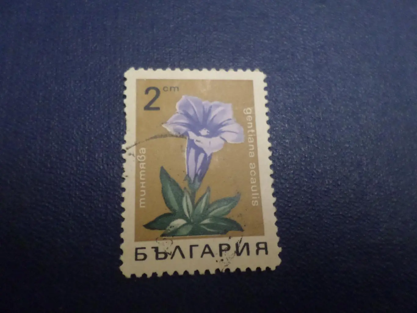 Марки Болгария флора Цветы гашеные