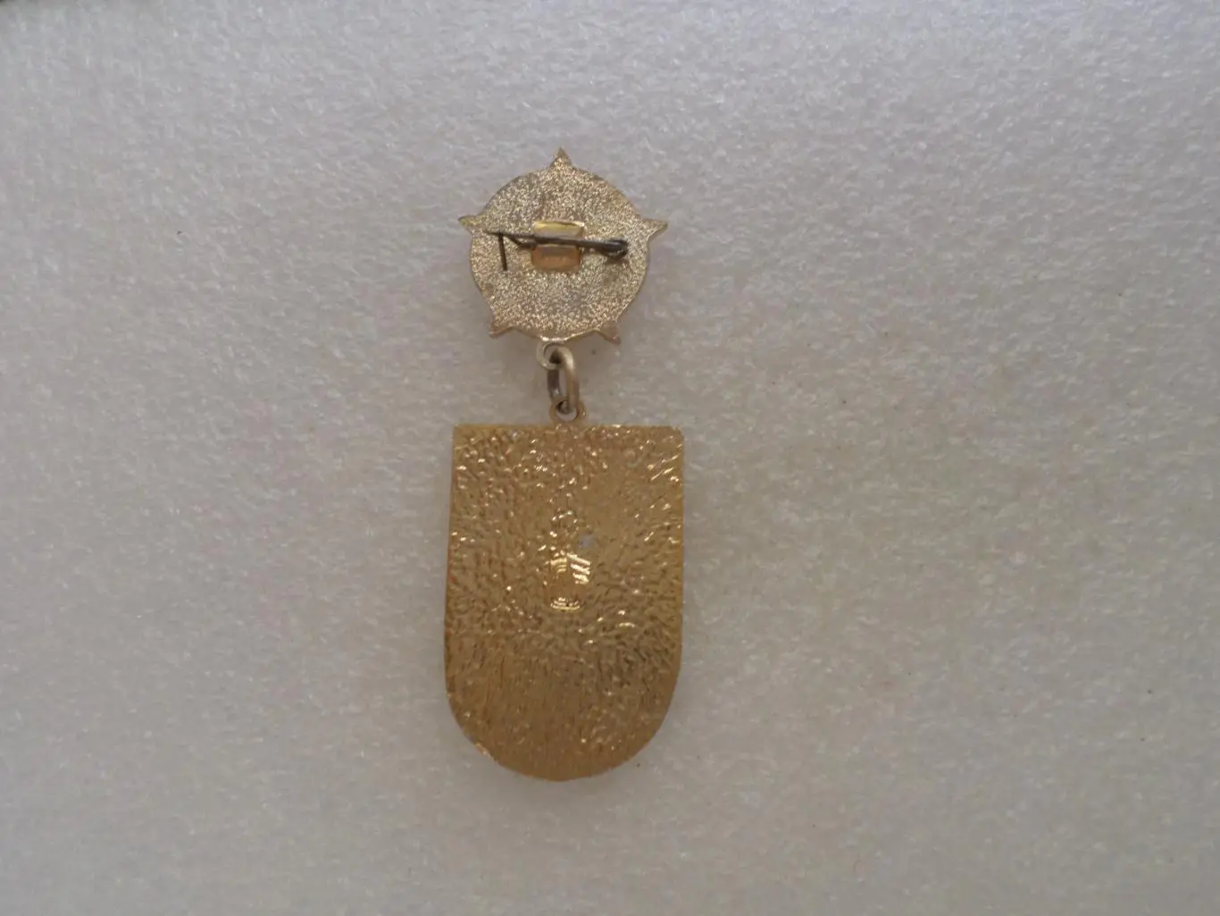 Знак Инструктор общественник по спорту 1