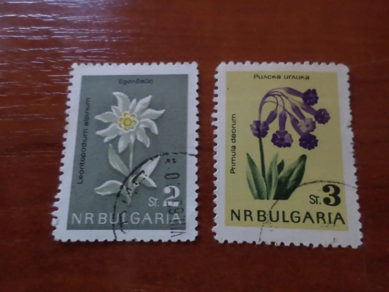 Марки Болгария флора Цветы гашеные 1965 г