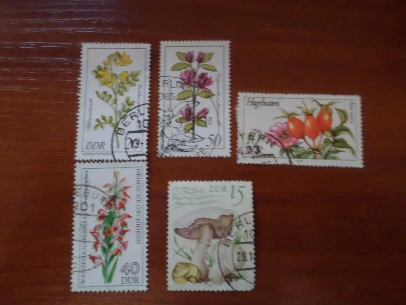 Марки ГДР флора Цветы гашеные 1987 г