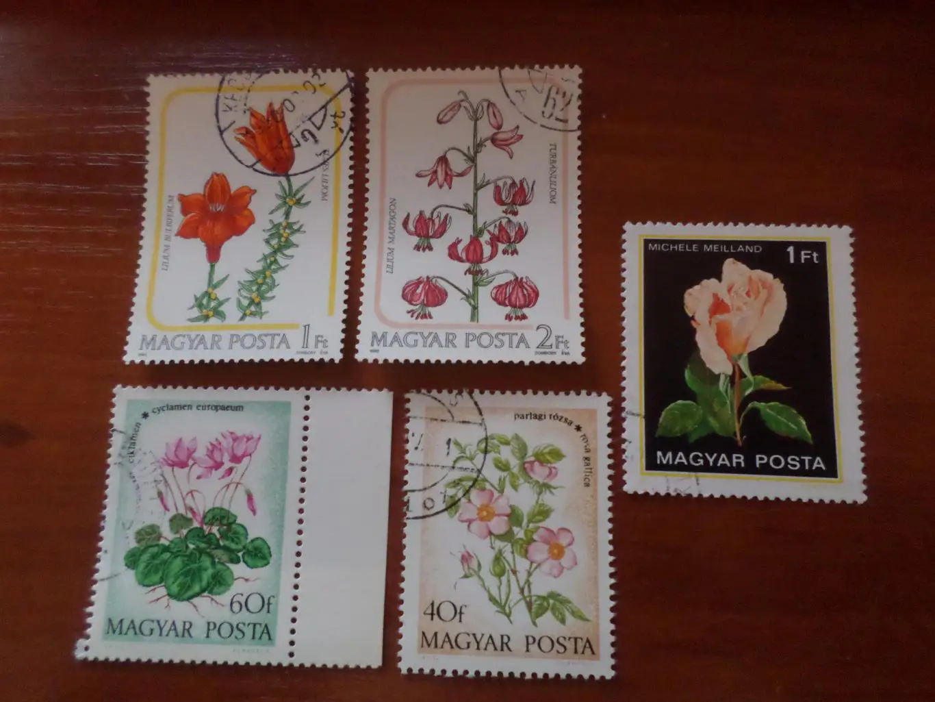 Марки Венгрия флора Цветы гашеные 1985 г