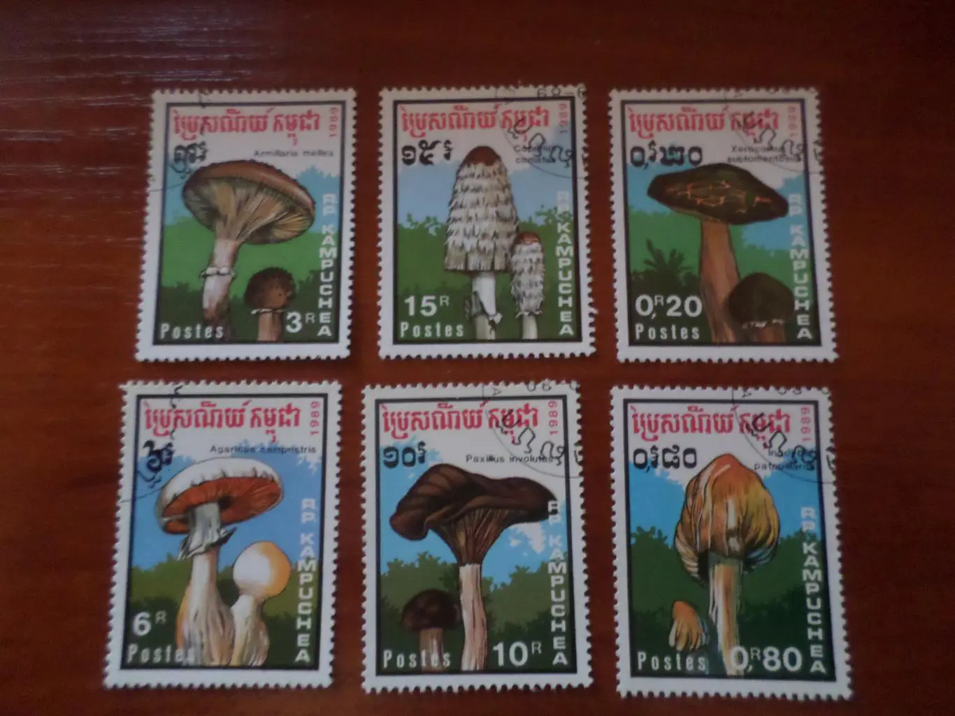 Марки Кампучия флора Грибы гашеные 1989 г