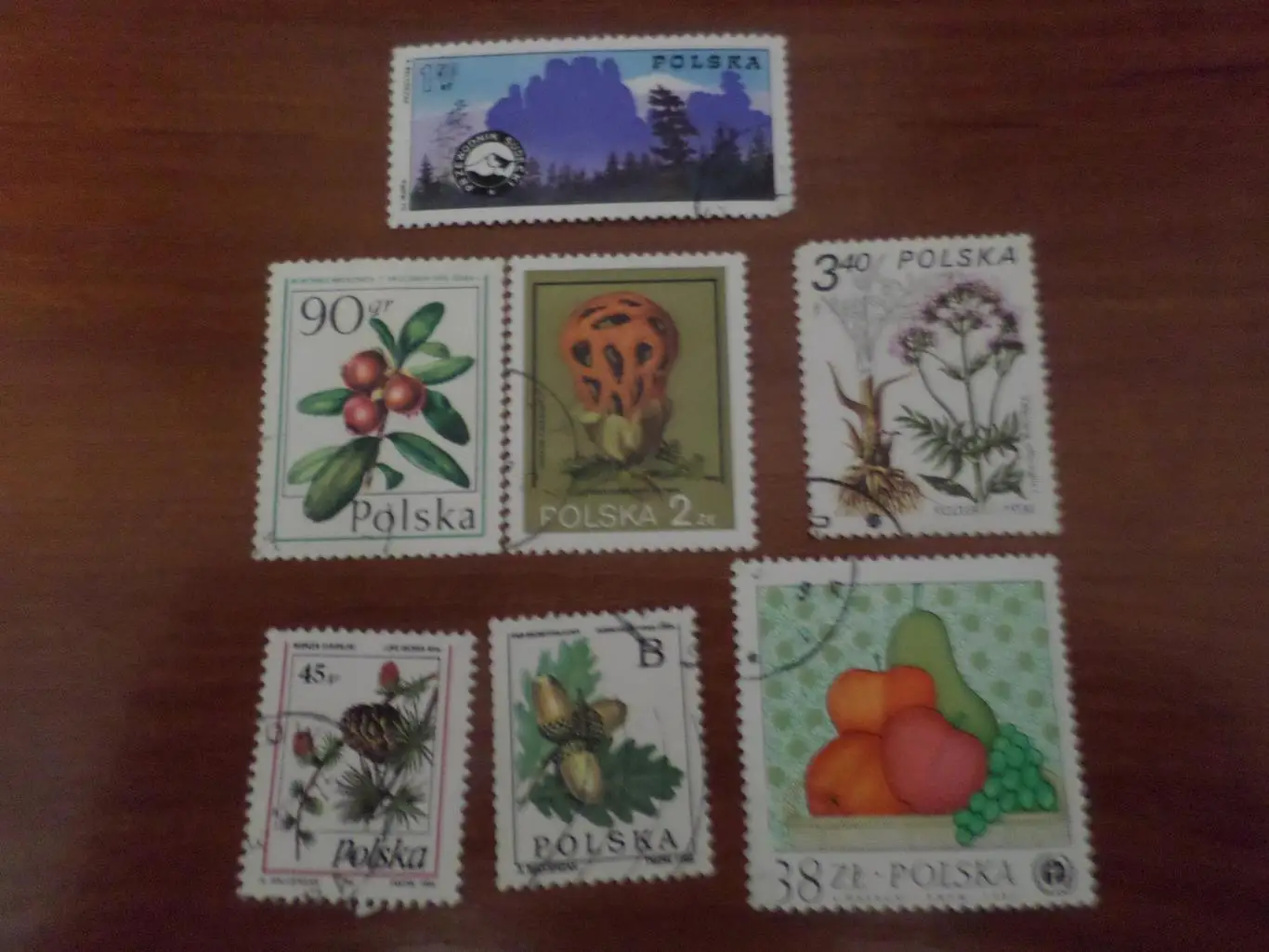 Марки Польша флора Растения гашеные