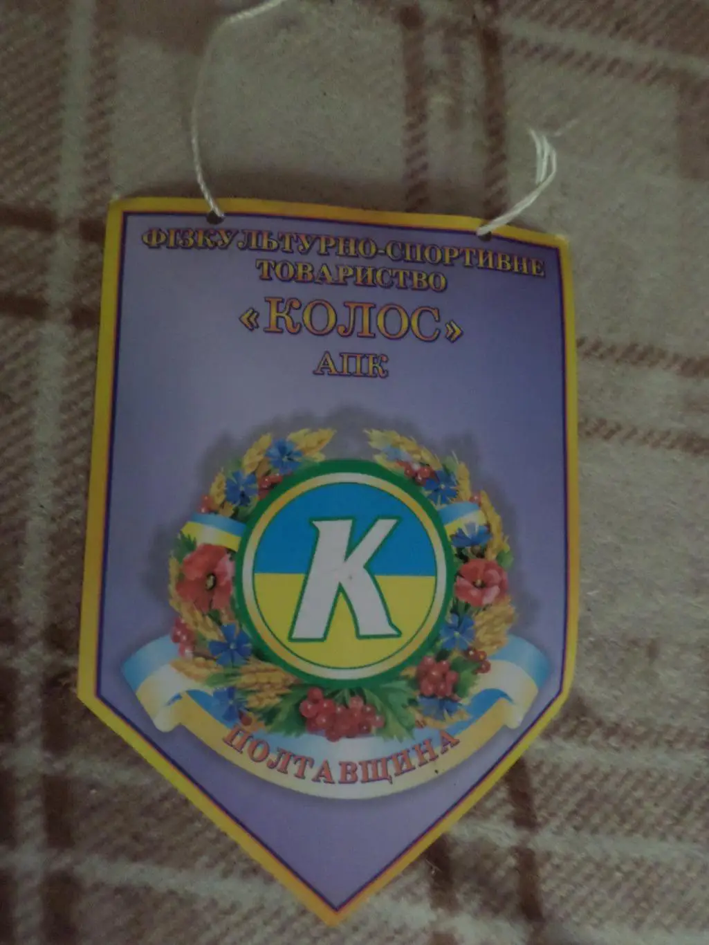 Вымпел ФСТ Колос Полтавщина физкультурно-спортивное общество Полтава