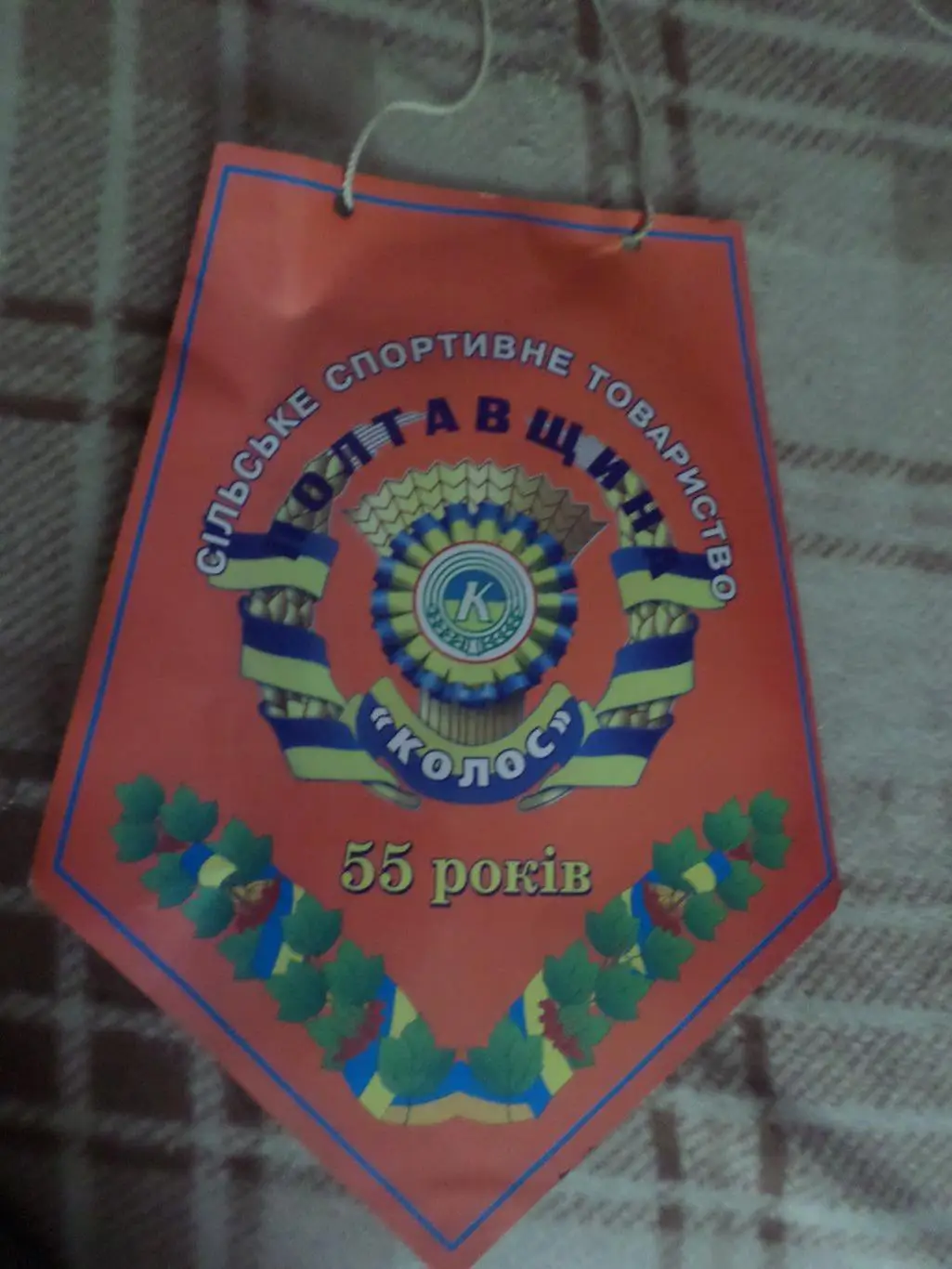 Вымпел 55 лет ФСТ Колос Полтавщина сельское спортивное общество Полтава