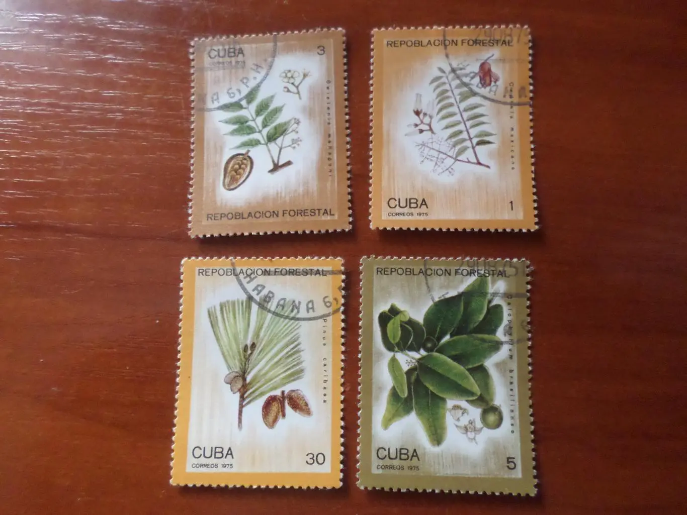 Марки Куба флора Растения 1975 г гаш