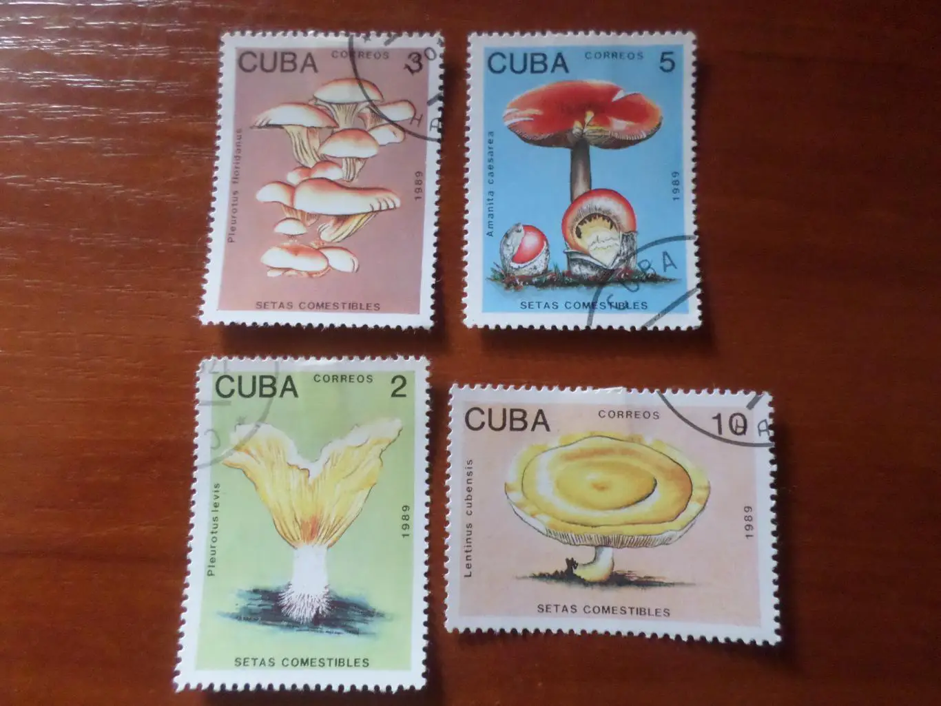 Марки Куба флора Грибы 1989 г гаш