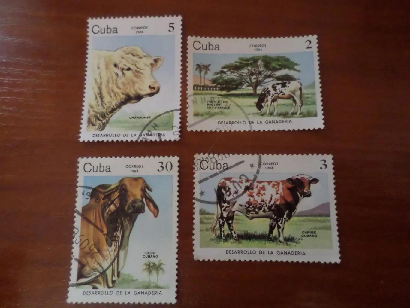 Марки Куба фауна Домашний скот Коровы 1984 г гаш