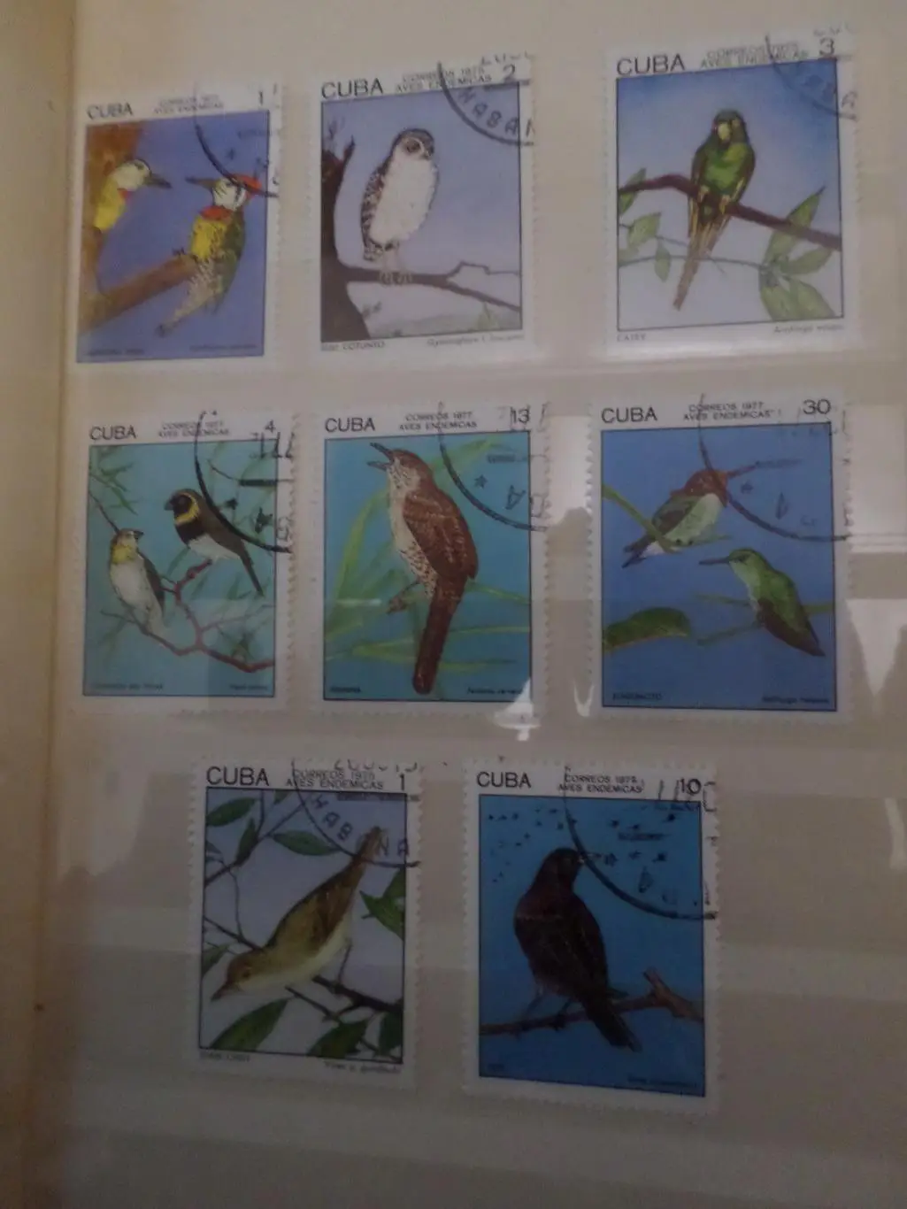 Марки Куба фауна Птицы 1977 г гаш