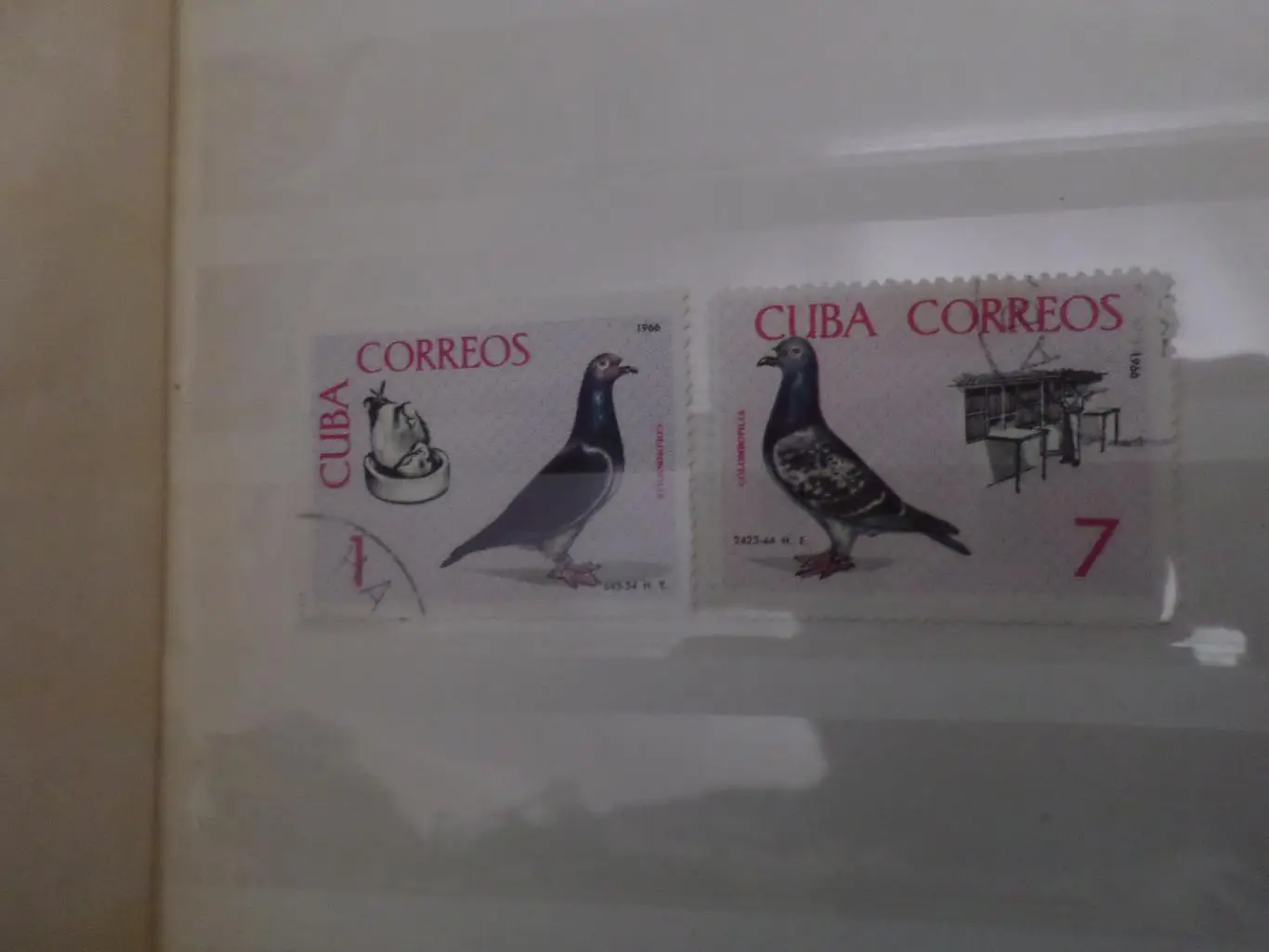 Марки Куба фауна Птицы 1966 г гаш