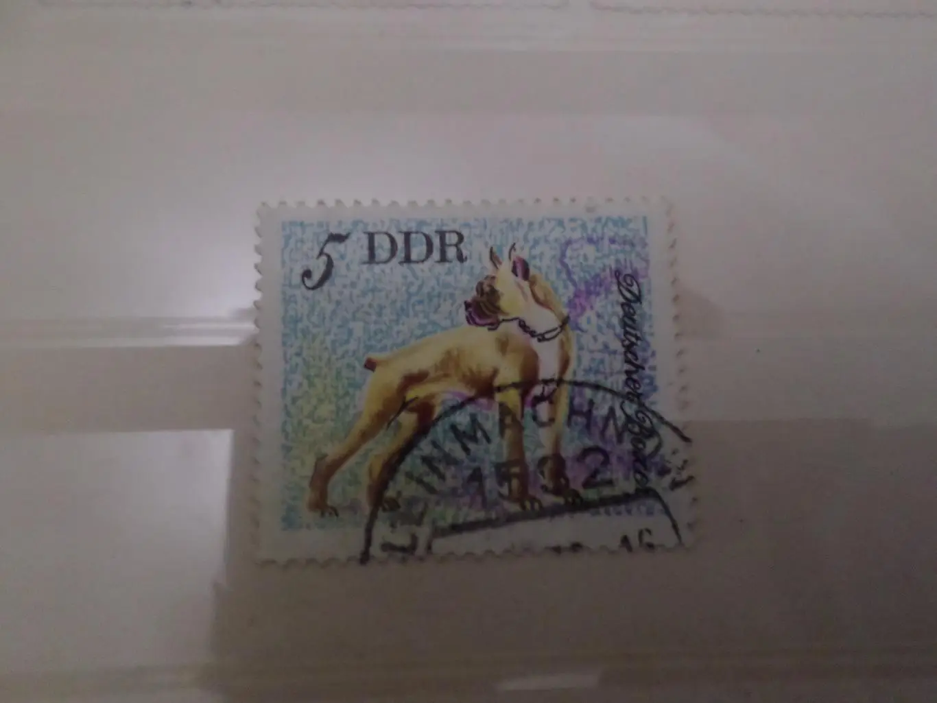 Марки ГДР фауна Собаки Боксер гаш