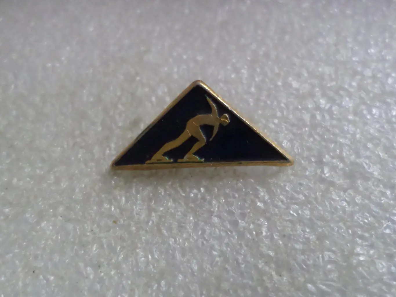 Значок Конькобежный спорт