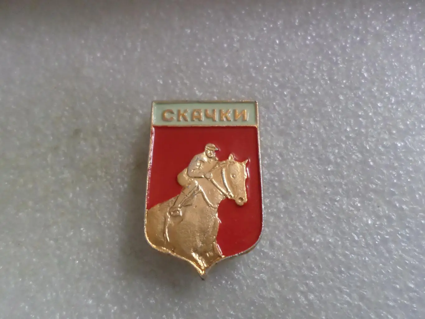 Значок Конный спорт Скачки