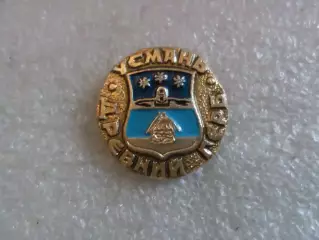 Значок древний герб Усмань