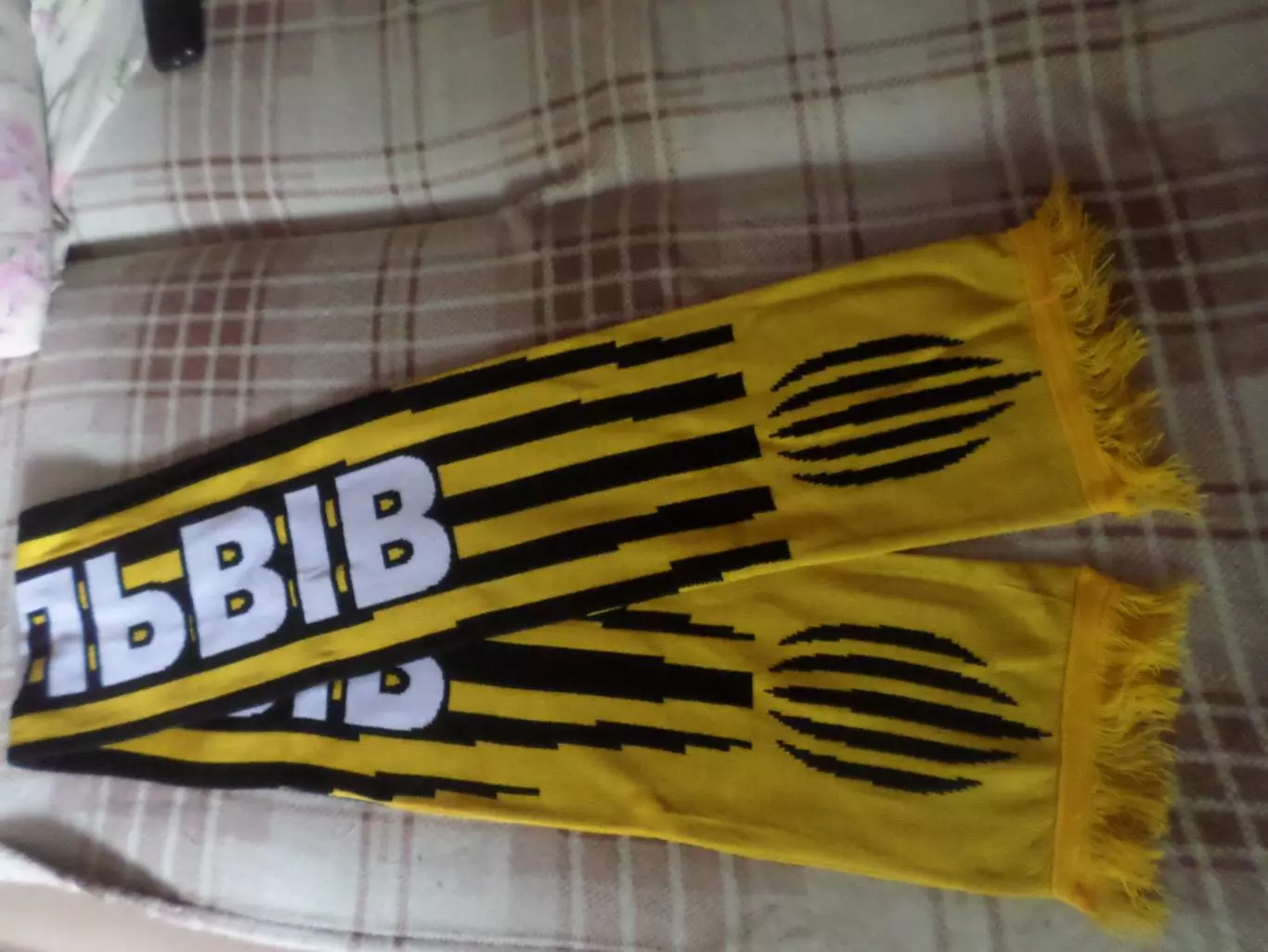 Шарф ФК Рух Львов.