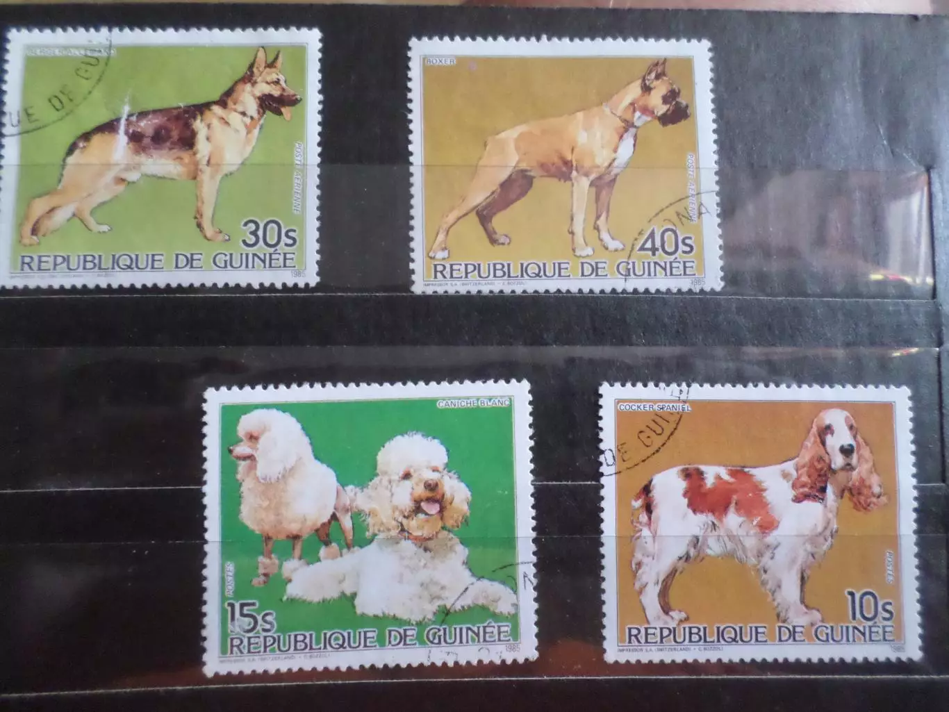 Марки Гвинея фауна Собаки 1985 г гаш