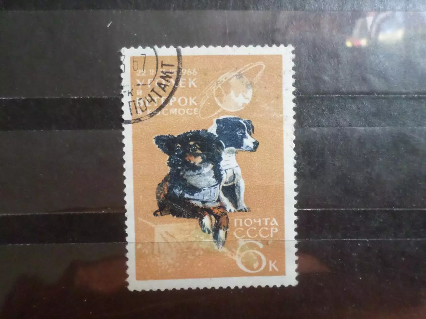 Марки СССР собаки Уголек и Ветерок в космосе 1966 г гаш