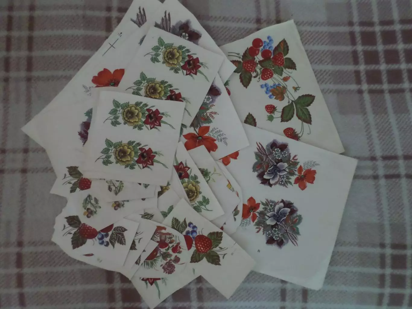 переводные картинки Цветы, ягоды