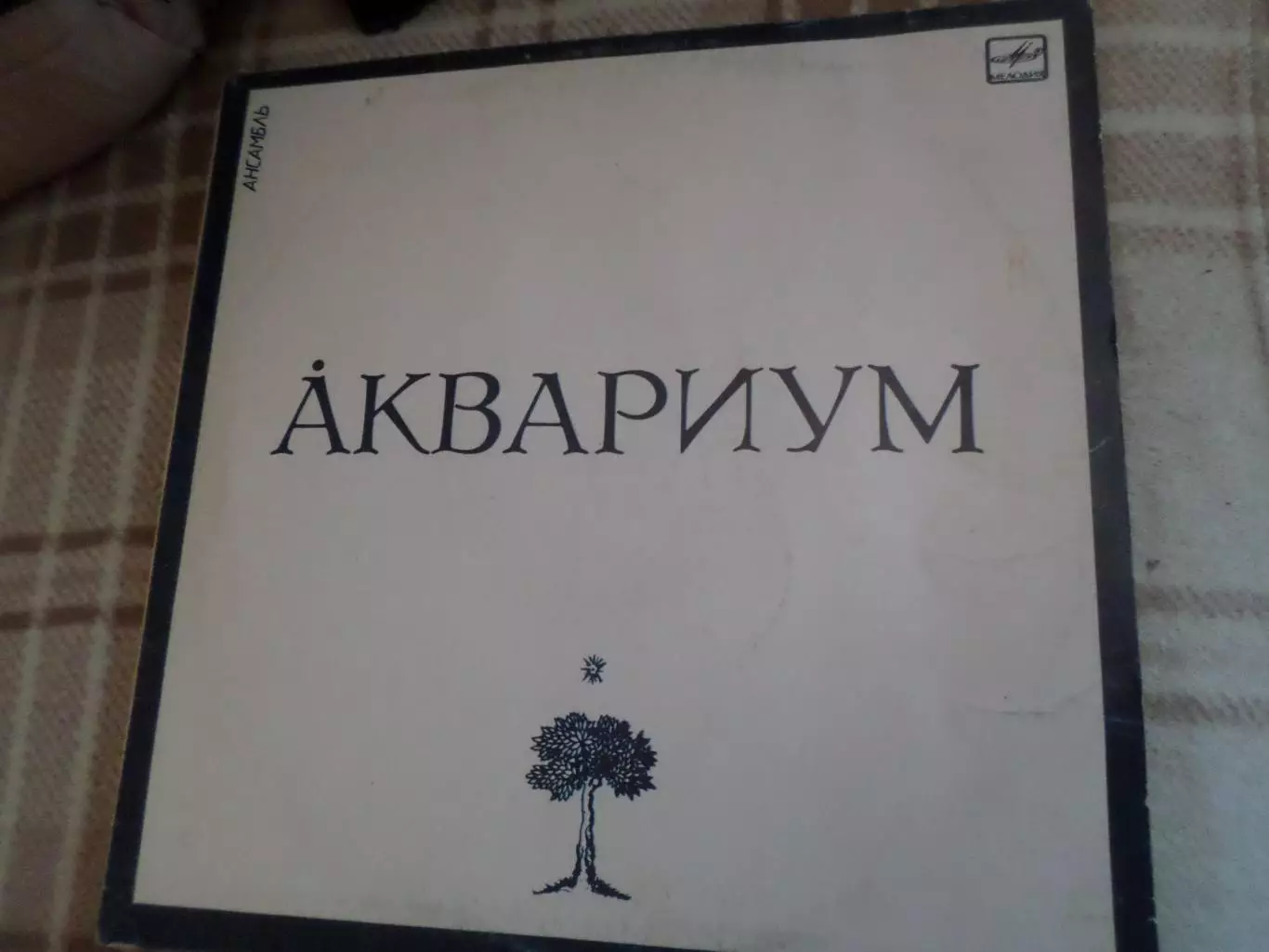 Пластинка группа Аквариум