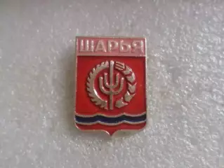 значок город Шарья