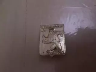 Значок герб Владимир