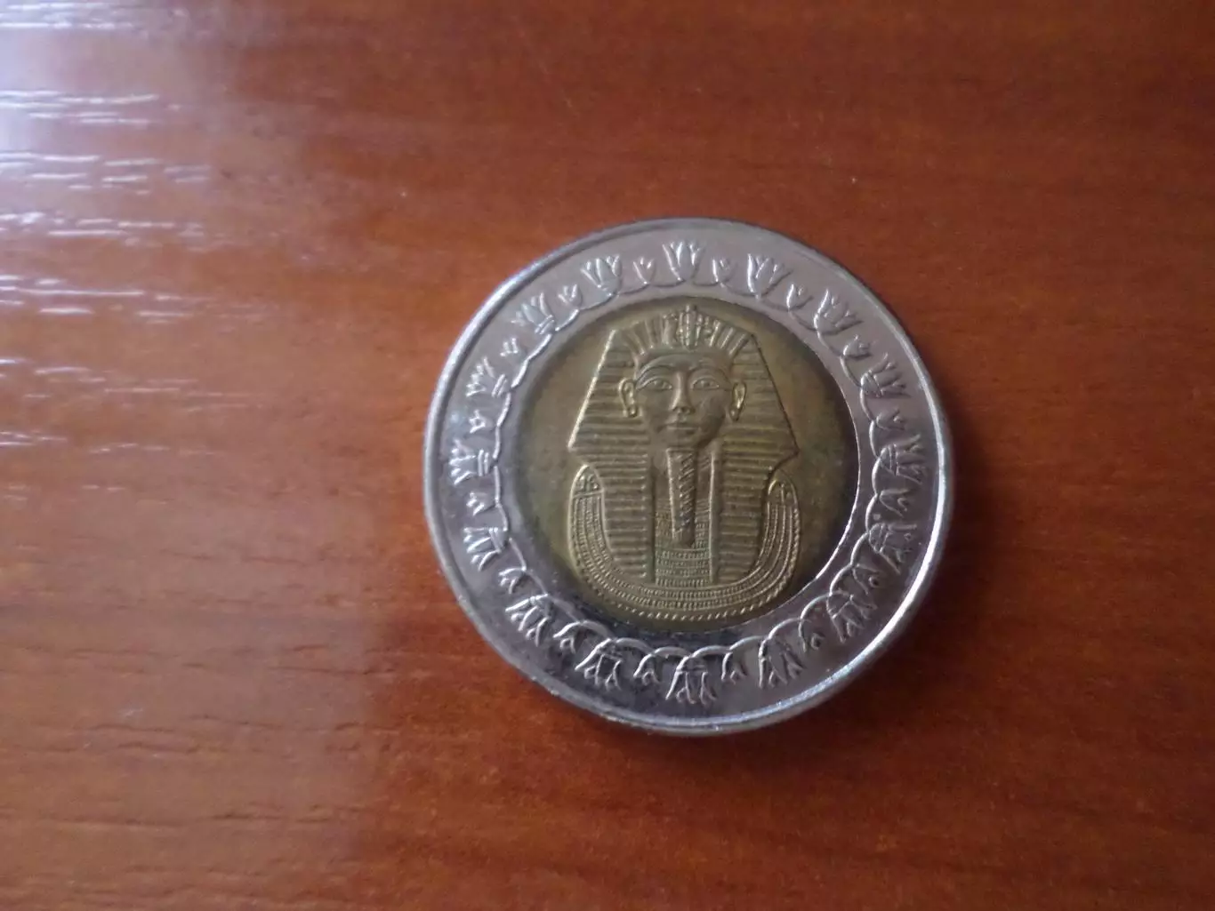 Монета 1 фунт Египет 1