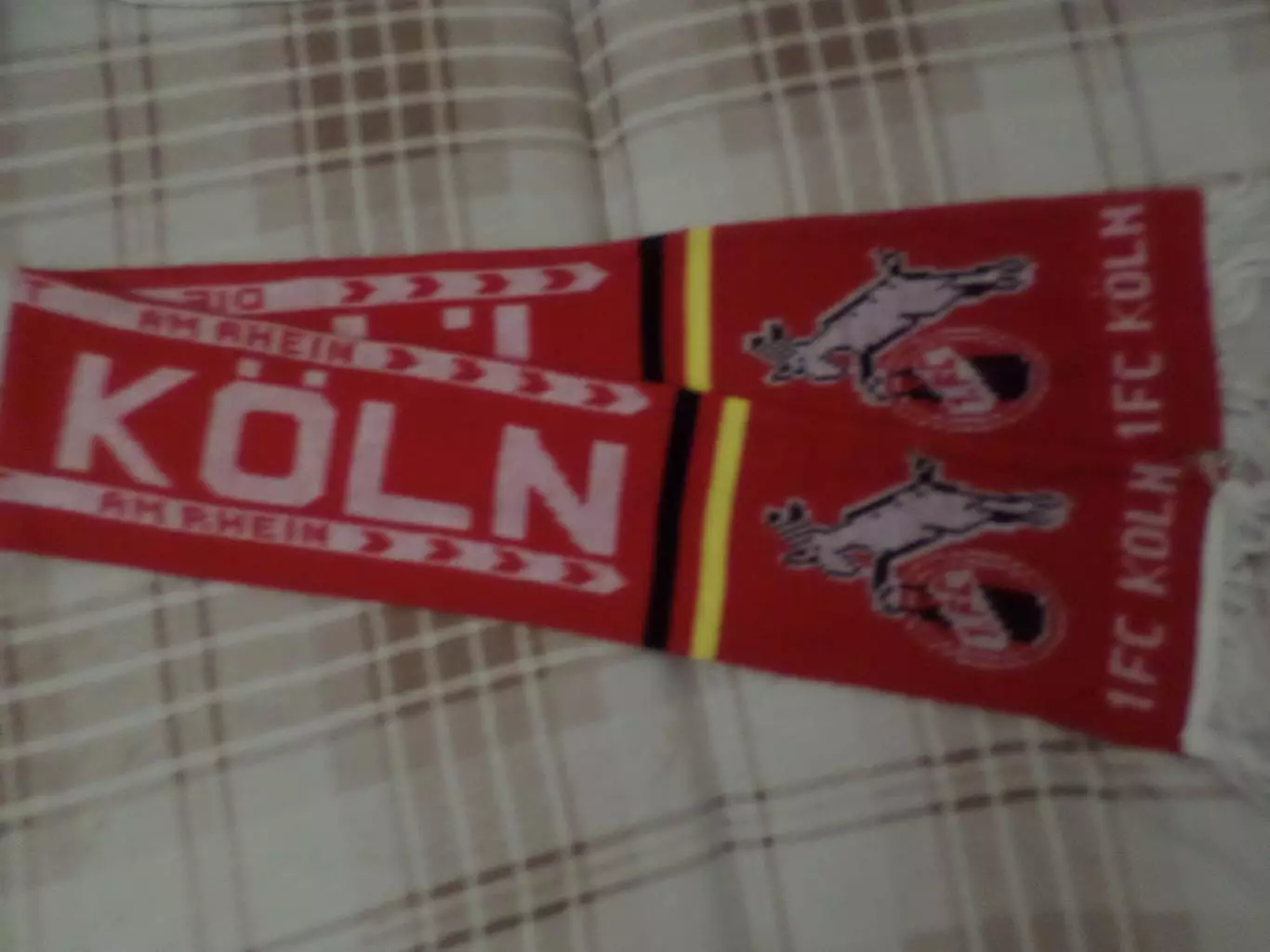 Шарф ФК Кельн Германия