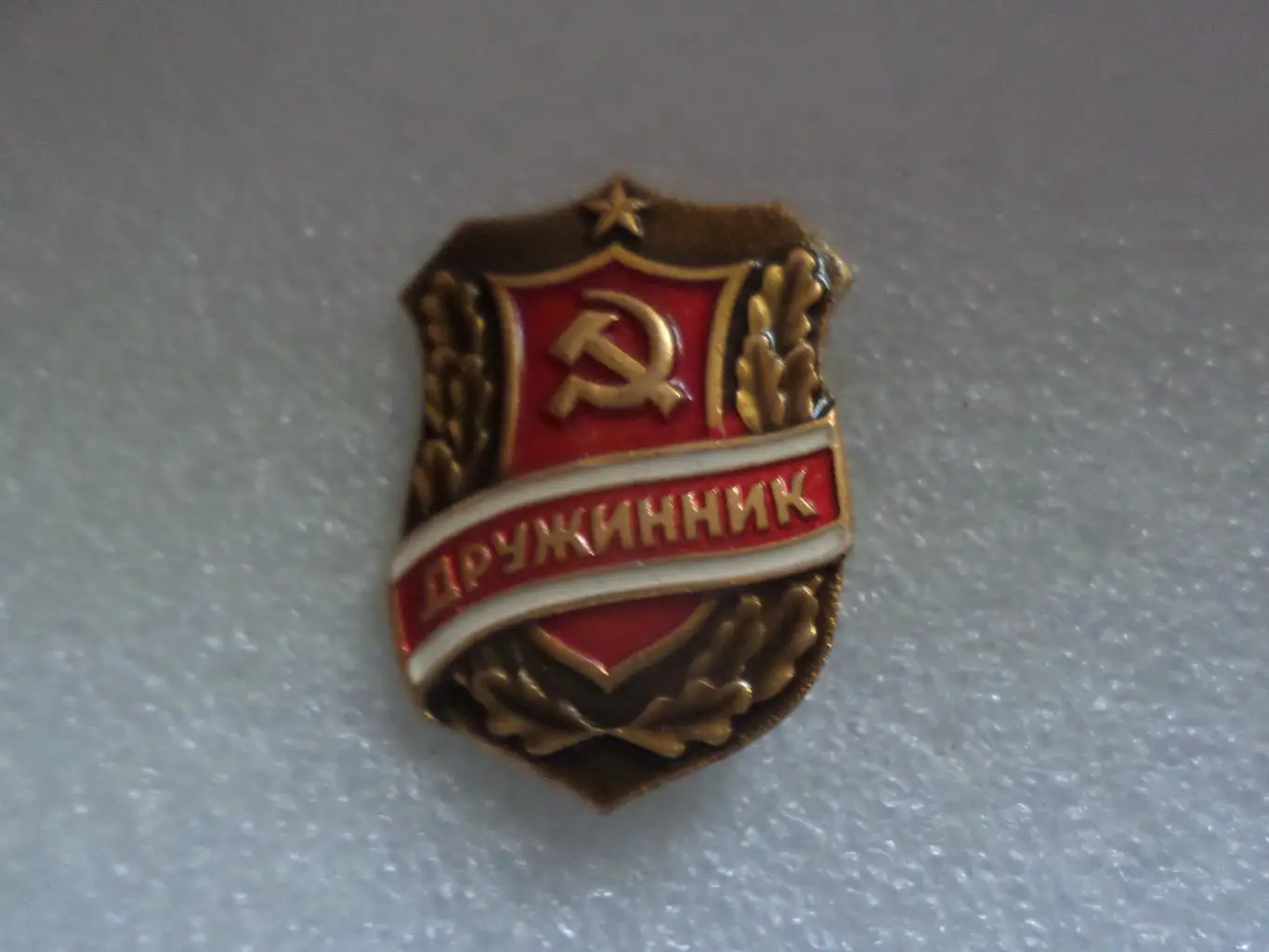 знак Дружинник