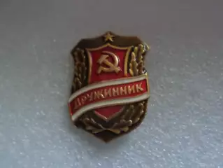 знак Дружинник