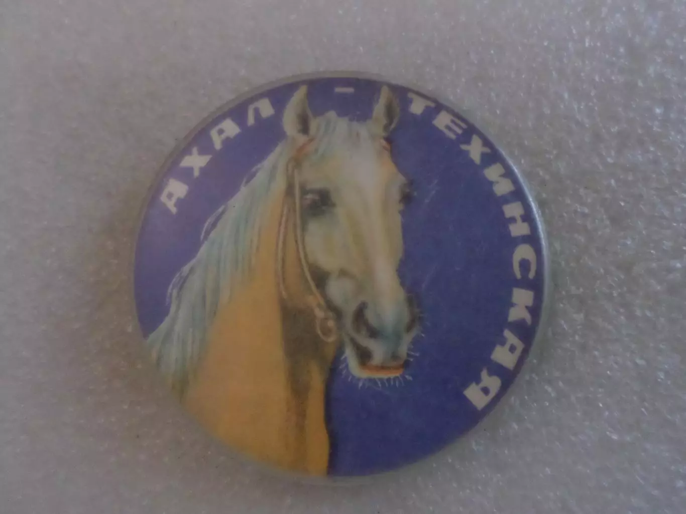 Значок фауна лошадь Ахал-техинская