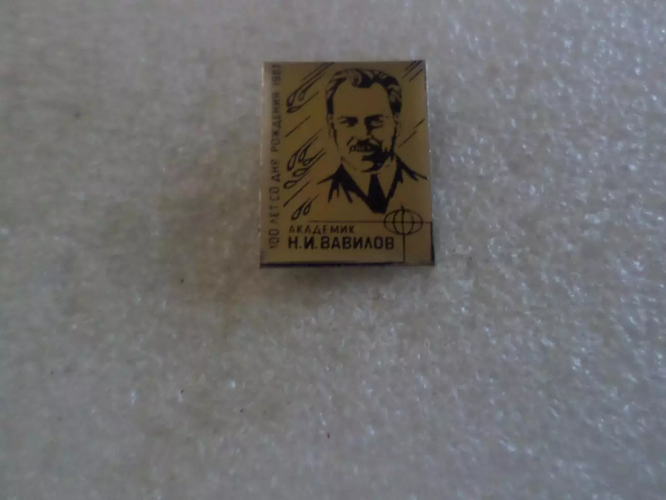 Значок личности академик Вавилов
