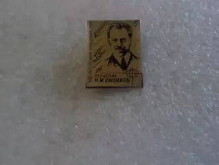 Значок личности академик Вавилов
