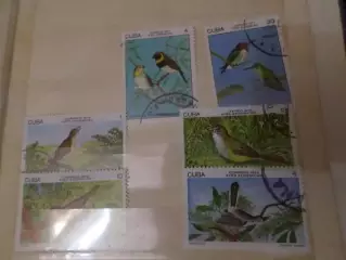 Марки Куба фауна Птицы 1977-1978 г гаш