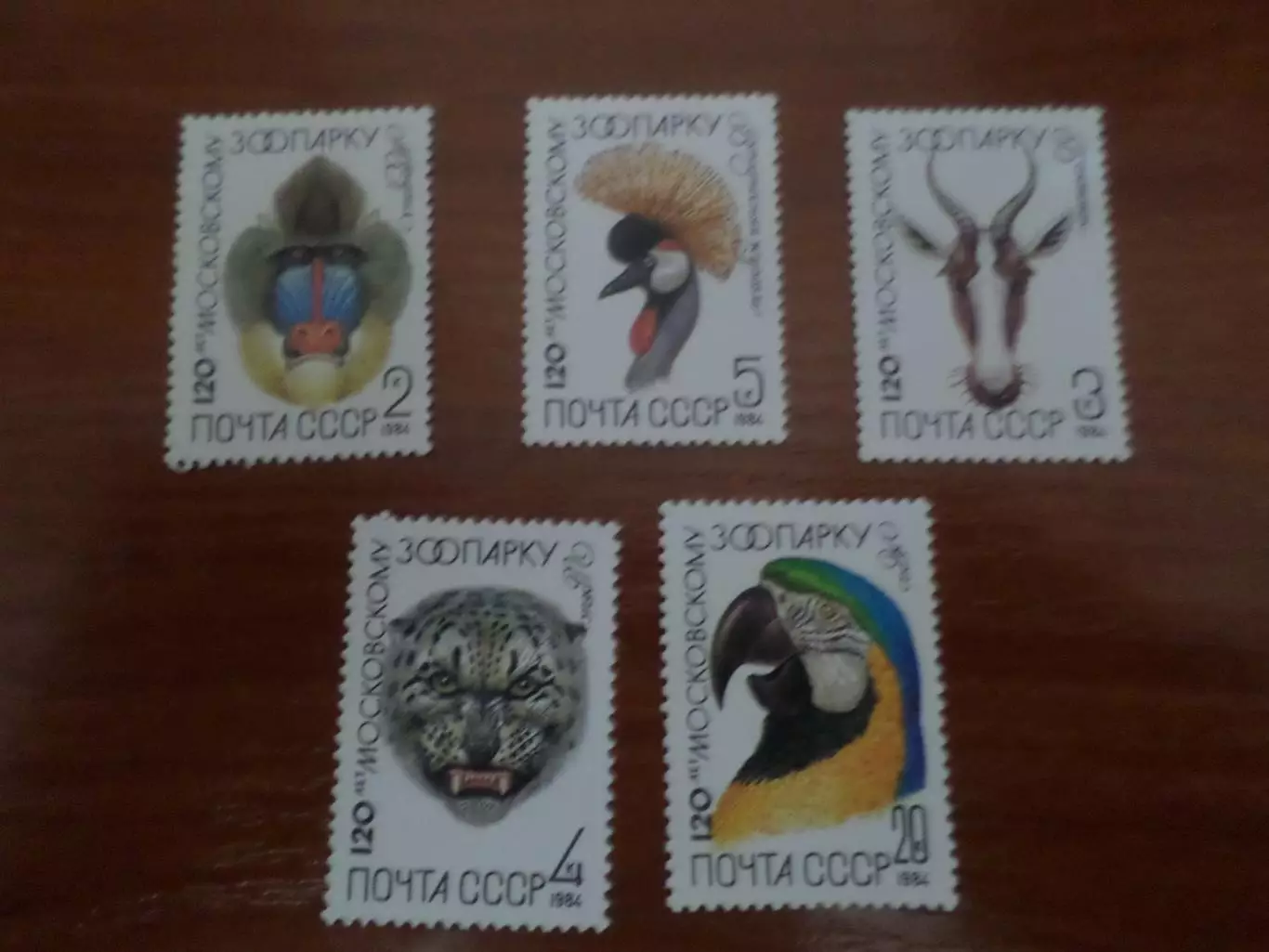 марки СССР фауна 120 лет московскому зоопарку 1984 г негаш
