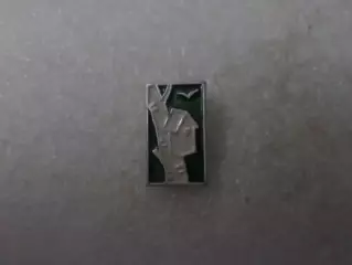 Значок Скворечник