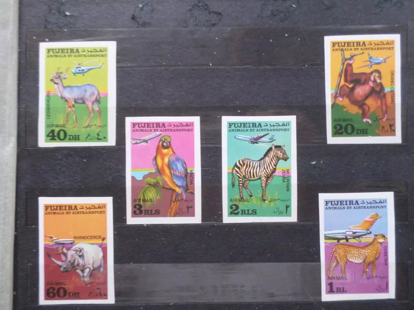 марки ОАЭ Фуджейра фауна Животные Африки негаш беззубцовка