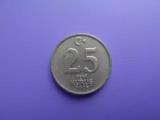 Монета 25 куруш Турция 2005 г