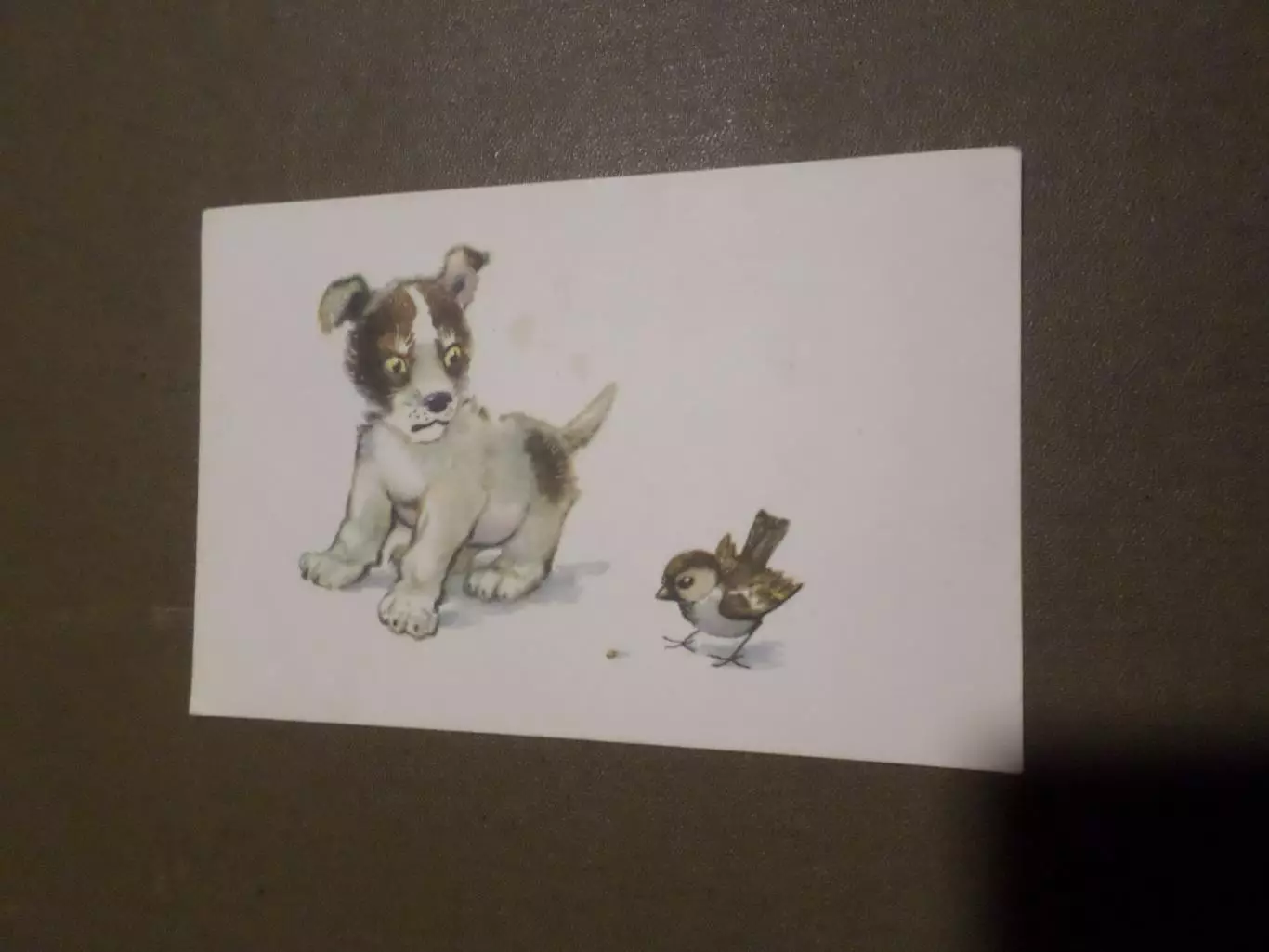 открытка Щенок 1967 г