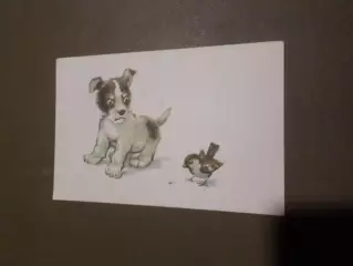 открытка Щенок 1967 г