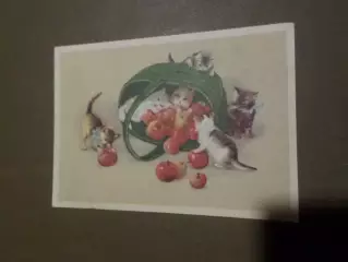 открытка Кошки и яблоки 1959 гб\у
