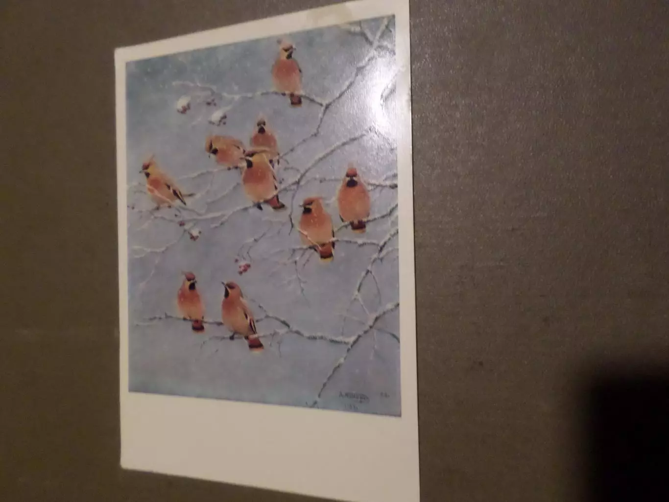 открытка Свиристели 1969 г