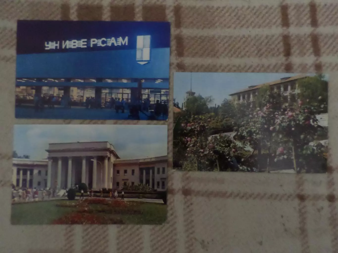 открытки Сочи 3 шт