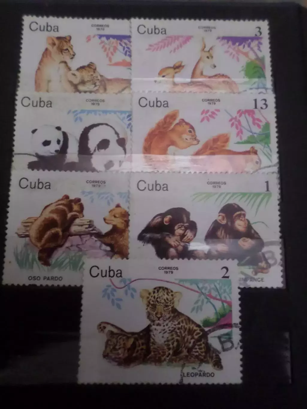 Марки Куба фауна Животные 1979 гаш