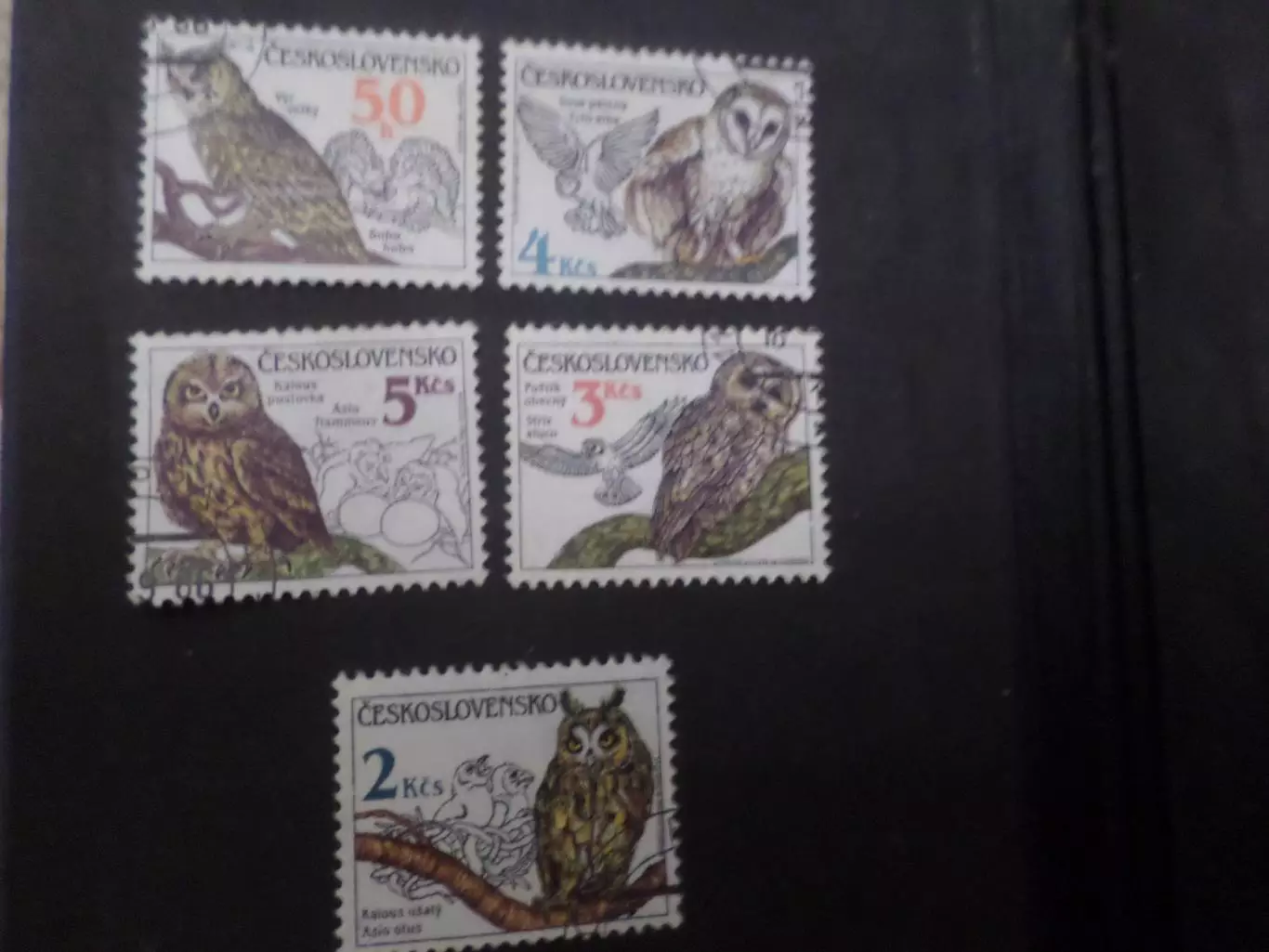 Марки Чехословакия фауна Совы 1986 г гаш