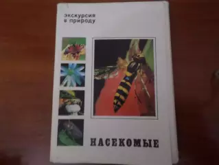 набор открыток Насекомые 1980г